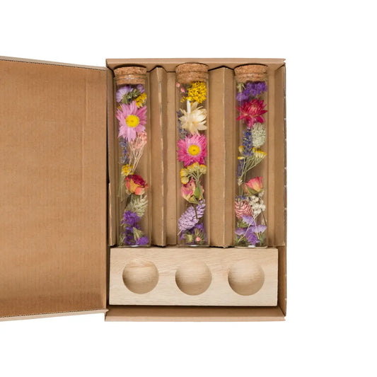 Glazen Buisjes Met Gedroogde Bloemen | Multi | 3 Stuks Incl. Houder