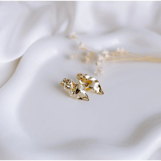 Oorbellen | Golven | 14k goud verguld